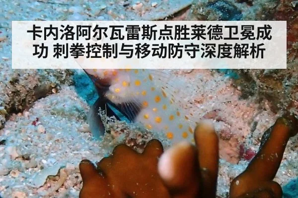 卡内洛阿尔瓦雷斯点胜莱德卫冕成功 刺拳控制与移动防守深度解析