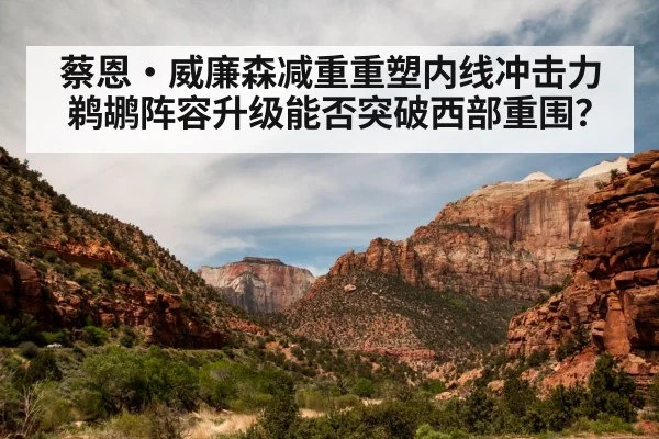 蔡恩·威廉森减重重塑内线冲击力 鹈鹕阵容升级能否突破西部重围?